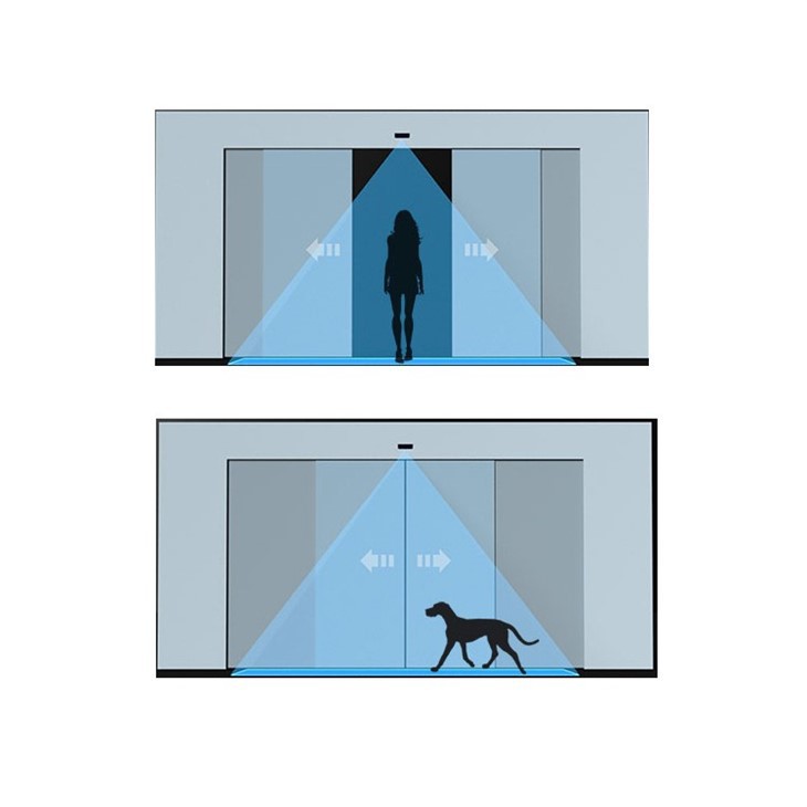 Camera Recognition Access Motion Sensor